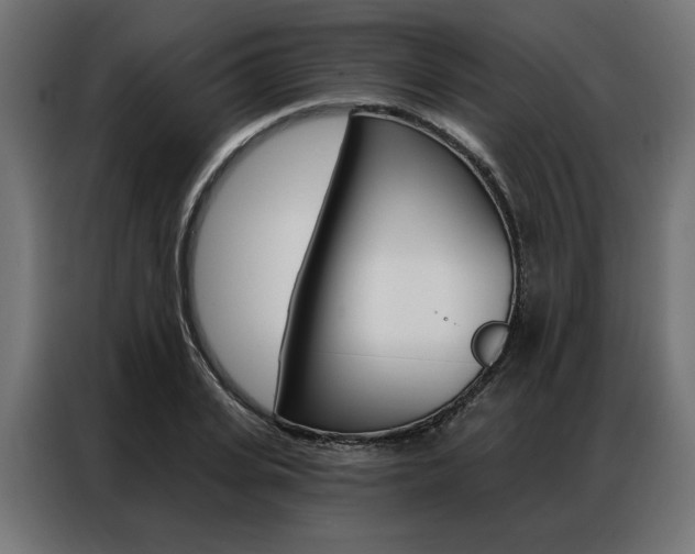 X0000086950935200704161054