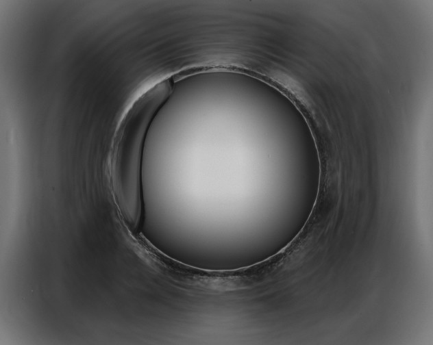 X0000086950936200704161054