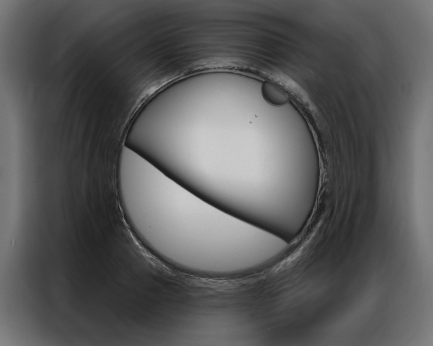 X0000086950937200704161054