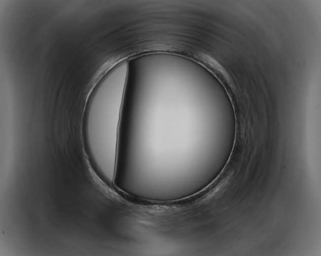 X0000086950938200704161054