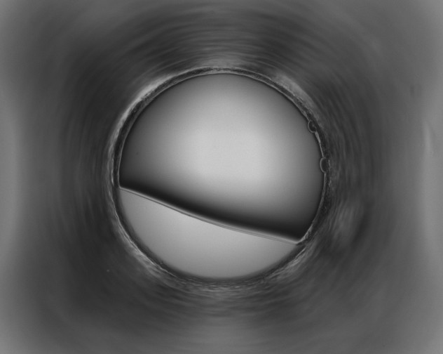 X0000086950939200704161054