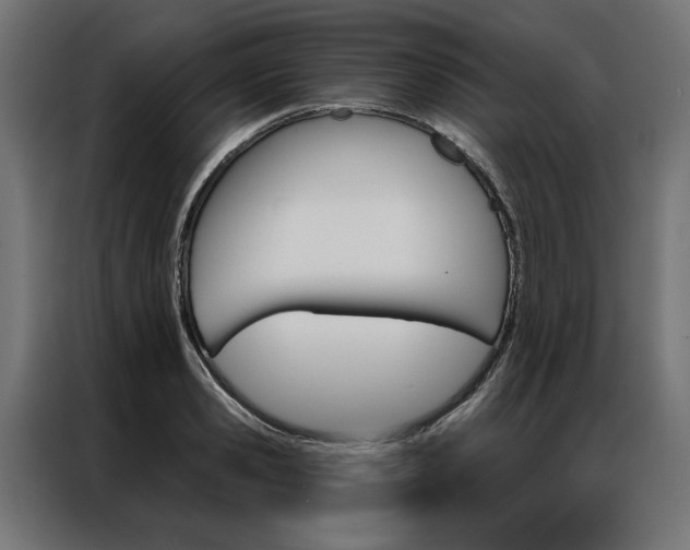 X0000086950941200704161054