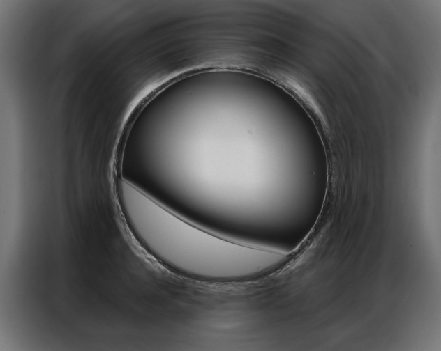 X0000086950944200704161054