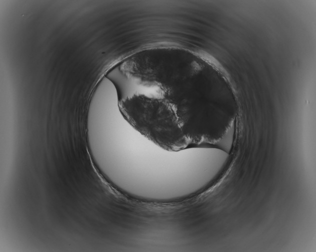 X0000086950945200704161054