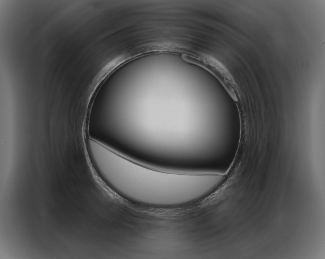 X0000086950946200704161054