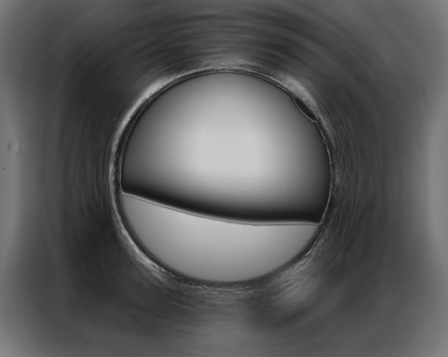X0000086950947200704161054