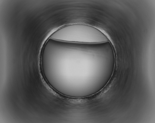 X0000086950949200704161054