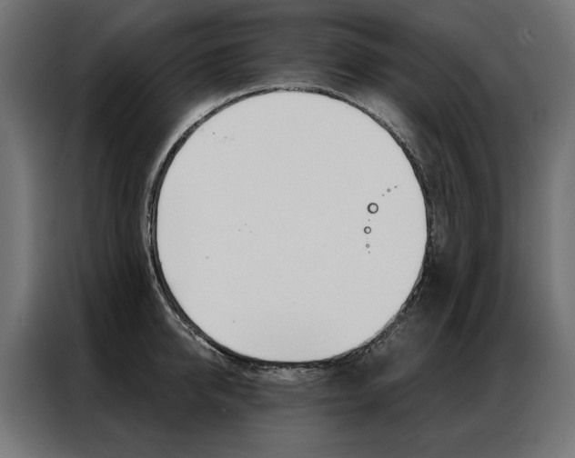X0000086950950200704161054