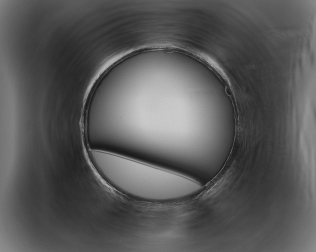 X0000086950951200704161054