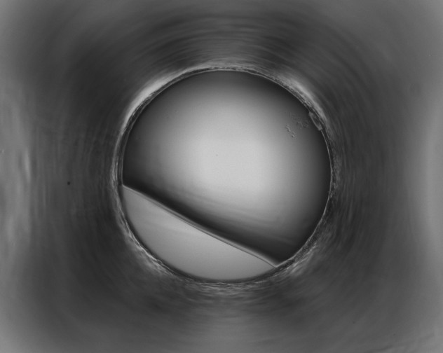 X0000086950952200704161054