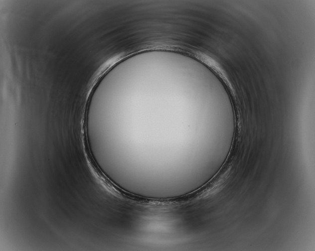 X0000086950954200704161054
