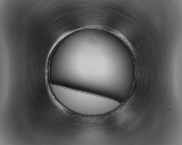 X0000086950955200704161054