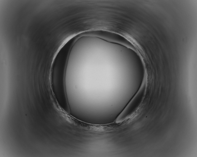 X0000086950956200704161054