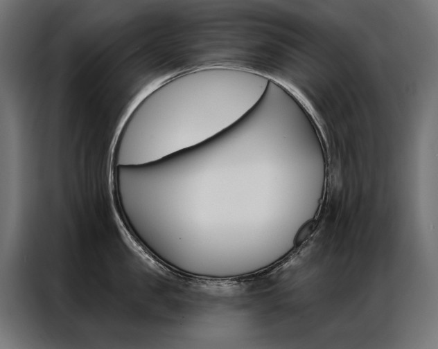 X0000086950957200704161054