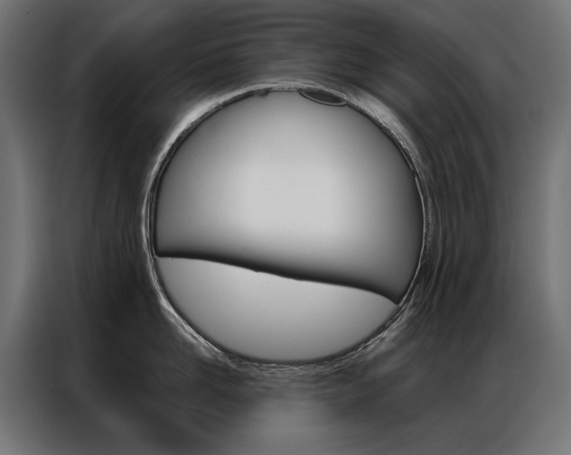 X0000086950958200704161054