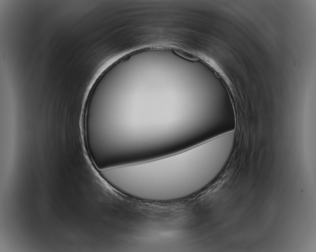X0000086950959200704161054