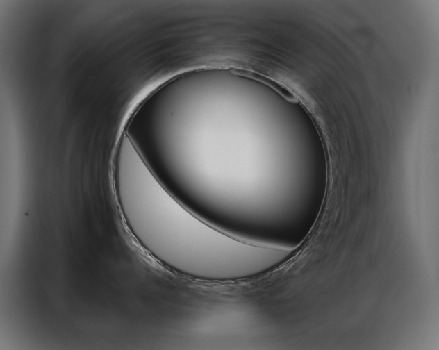 X0000086950960200704161054