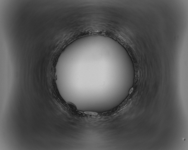 X0000086950961200704161054