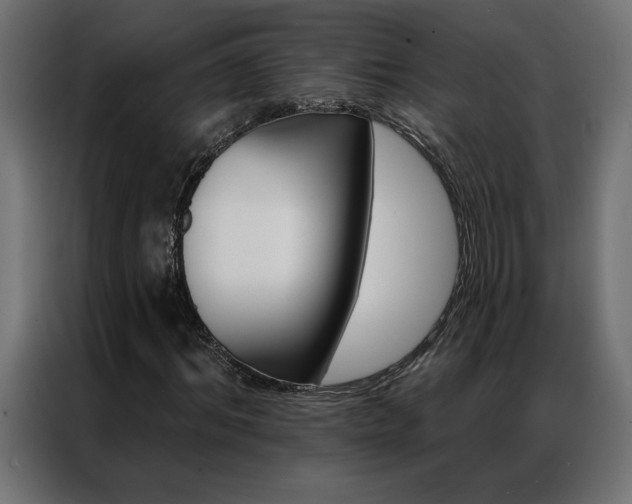 X0000086950964200704161053