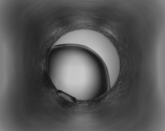 X0000086950965200704161053