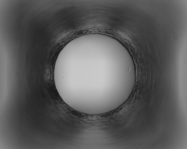 X0000086950966200704161053