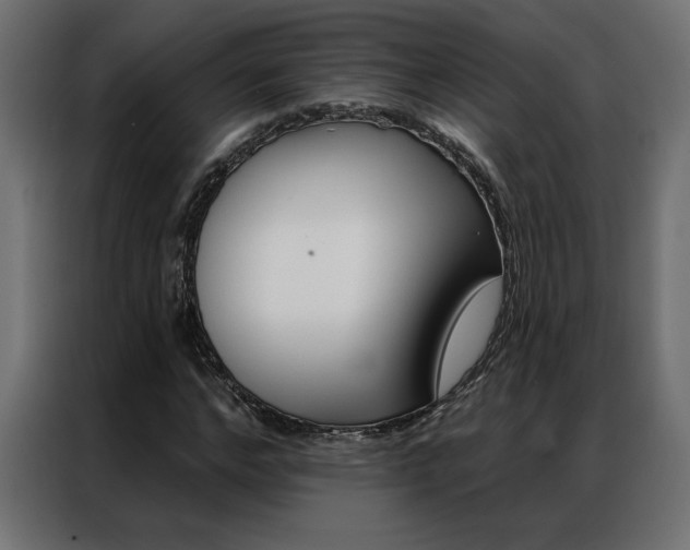 X0000086950968200704161053