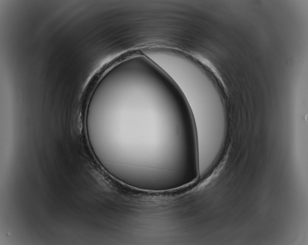 X0000086950973200704161053