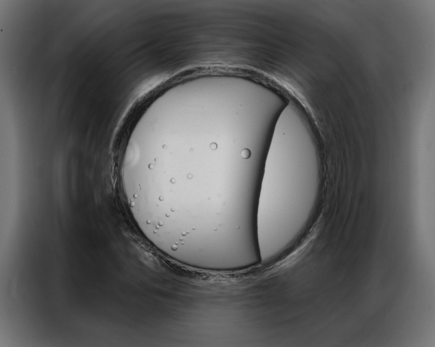 X0000086950974200704161053