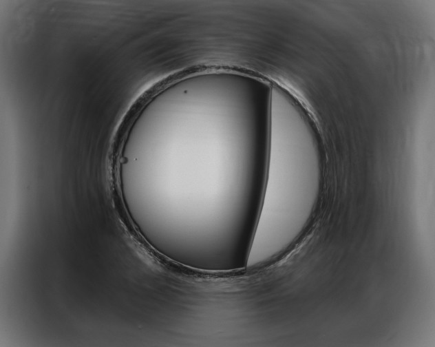 X0000086950976200704161053