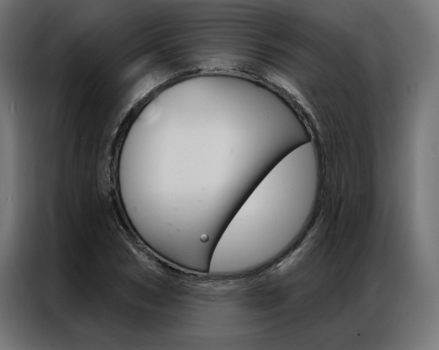 X0000086950978200704161053