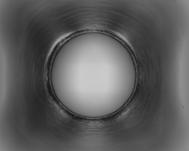 X0000086950979200704161053