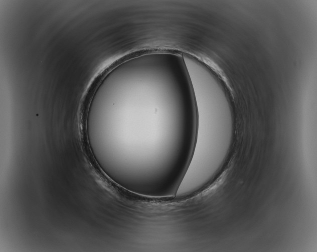 X0000086950981200704161053