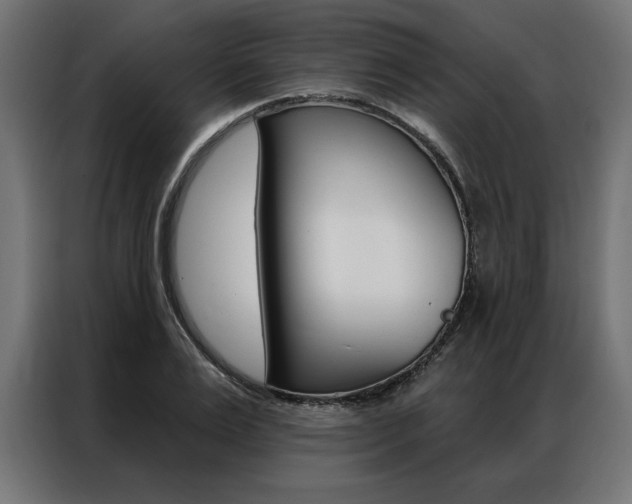 X0000086950983200704161053