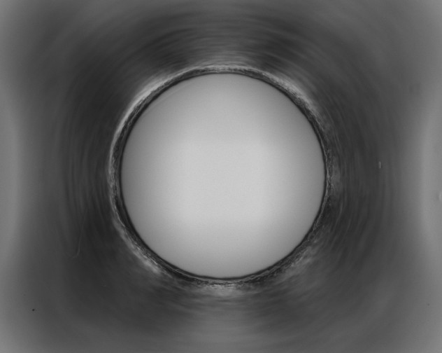 X0000086950990200704161053