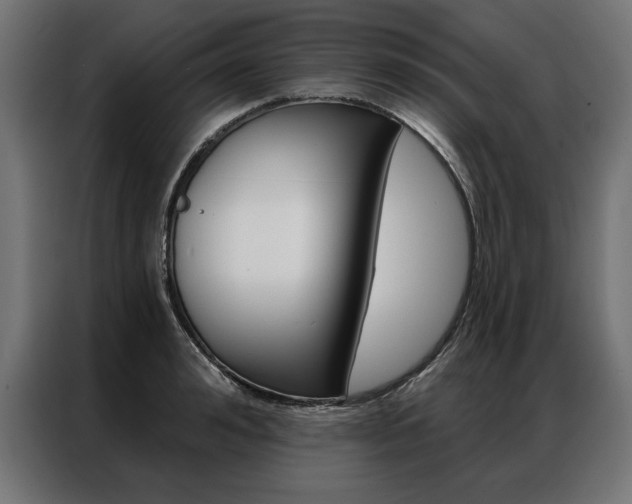 X0000086950992200704161053