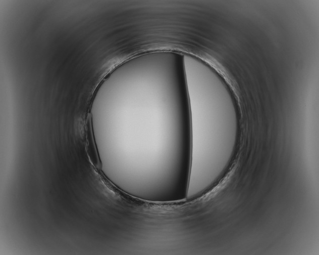 X0000086950993200704161053