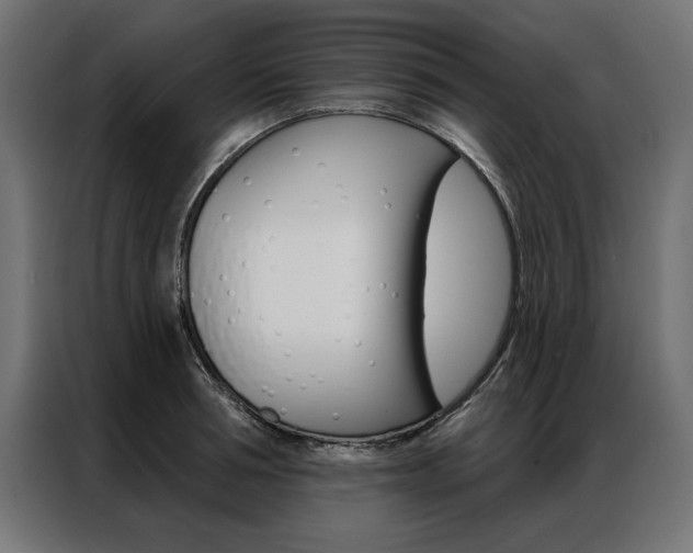 X0000086950994200704161053