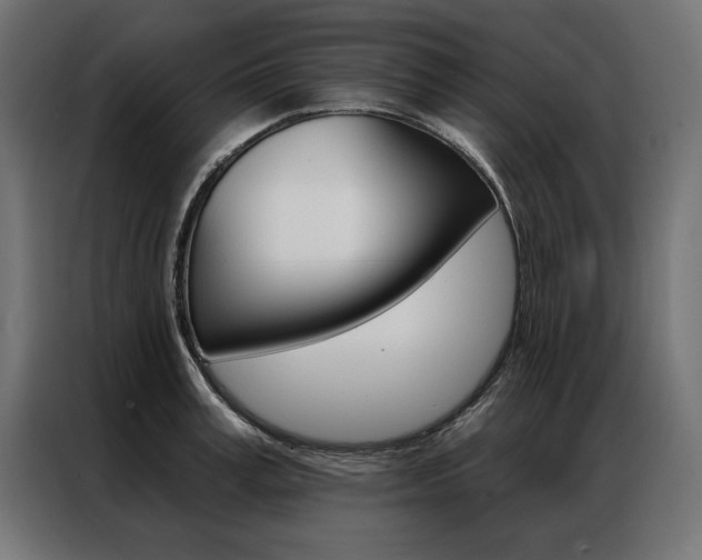 X0000086950995200704161053
