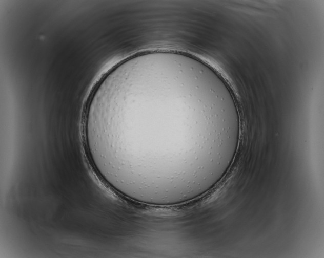 X0000086950998200704161053
