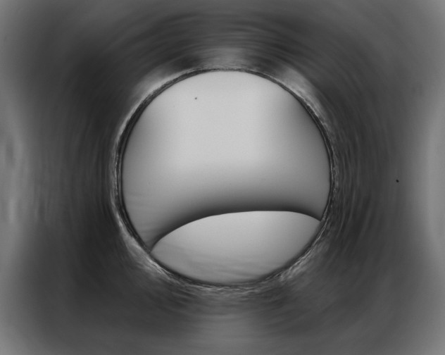 X0000086951000200704161053