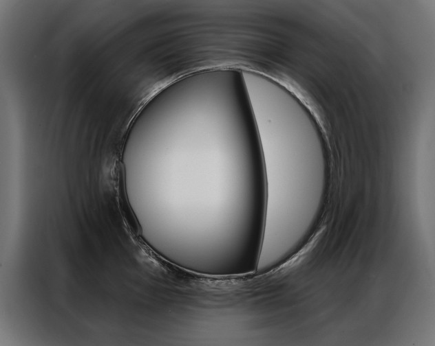 X0000086951001200704161053