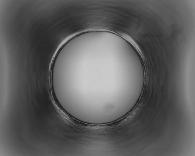 X0000086951004200704161053