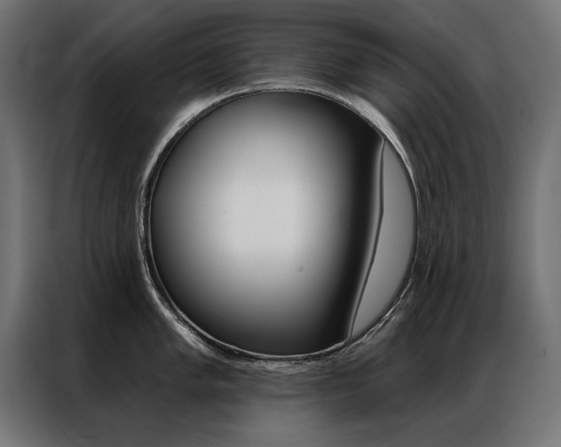 X0000086951005200704161053