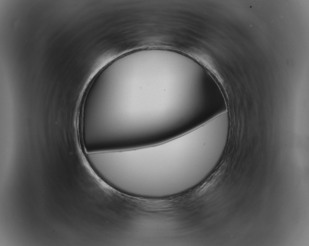 X0000086951007200704161053