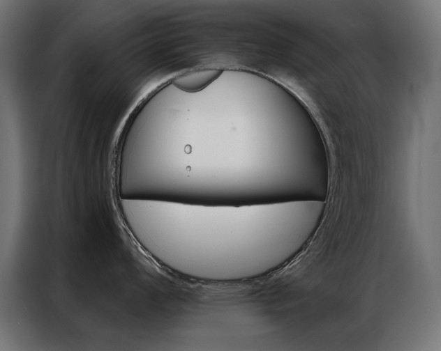 X0000086951008200704161053