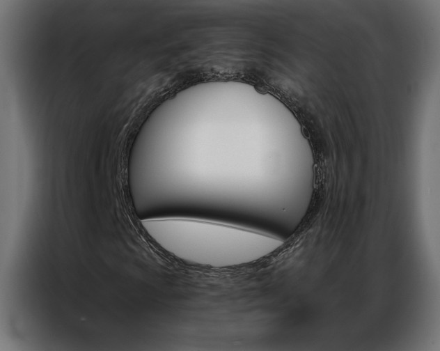 X0000086951009200704161052