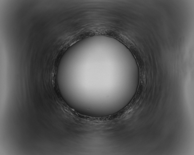 X0000086951010200704161052
