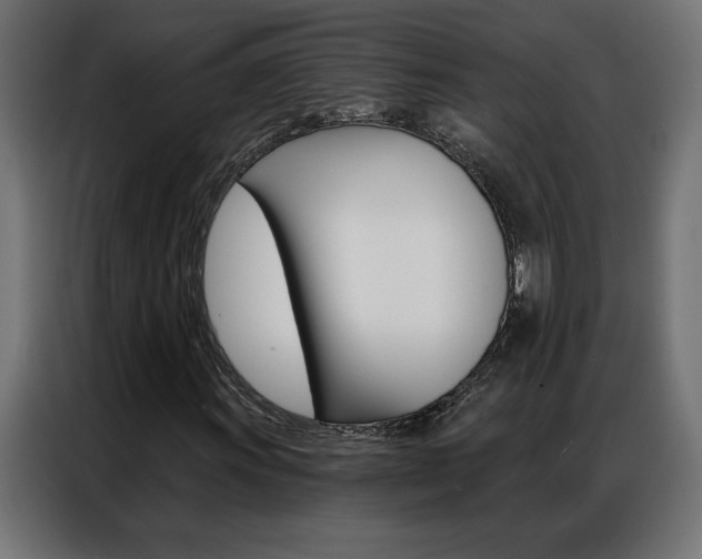 X0000086951011200704161052
