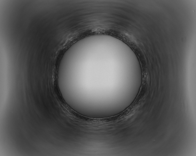 X0000086951012200704161052