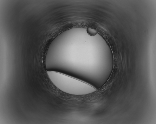 X0000086951013200704161052